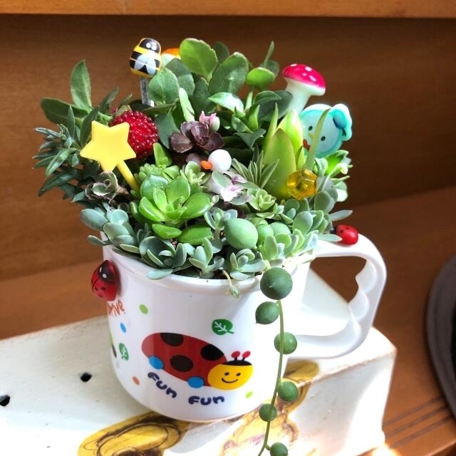 多肉植物❤︎寄せ植え❤︎このまま飾れます❤︎2点セット❤︎3点にも変更出来ます♪ ハンドメイドのフラワー/ガーデン(その他)の商品写真