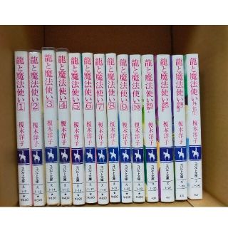 小説　龍と魔法使い　榎木洋子(文学/小説)