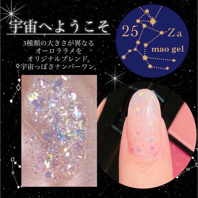マオネイル mao nail クリスマスコフレ コスメ/美容のネイル(ネイル用品)の商品写真