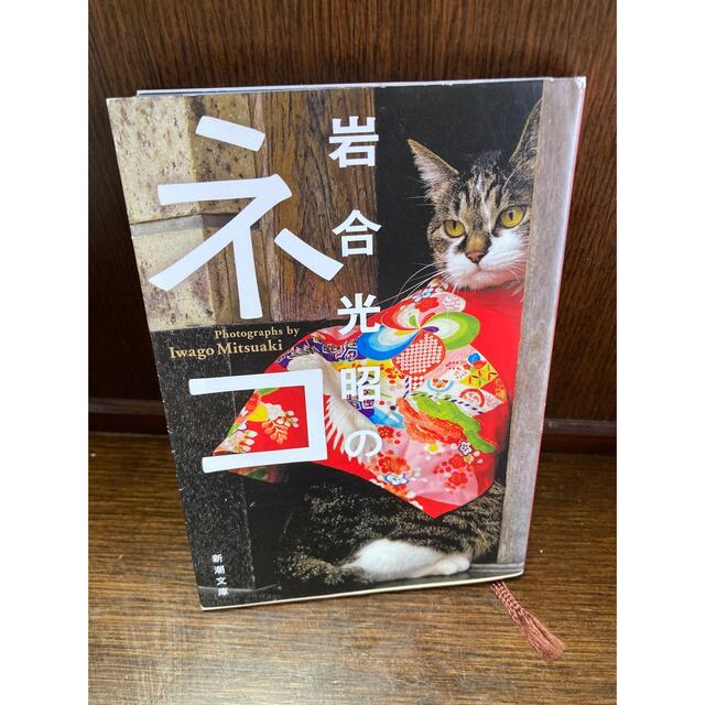 岩合光昭のネコ エンタメ/ホビーの本(その他)の商品写真