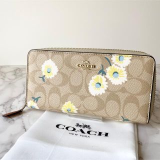 コーチ(COACH)の⭐️新品未使用⭐️COACH コーチ 長財布 花柄 シグネチャー(財布)