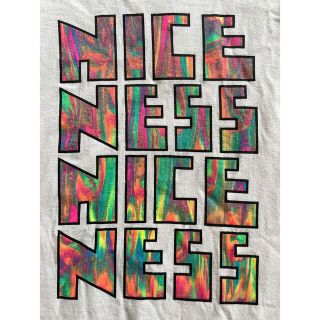 希少名作 NICENESS 4連ロゴTシャツGRATEFUL L ナイスネス