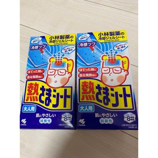 コバヤシセイヤク(小林製薬)の熱さまシート 大人用 32枚ワクチン接種 副反応対策 冷えピタ　小林製薬　(その他)