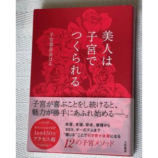 美人は子宮でつくられる(文学/小説)