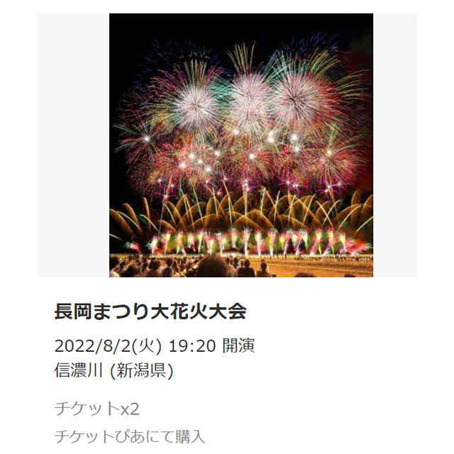 8/2 長岡花火チケット 2枚組  8月2日 B チケットのイベント(その他)の商品写真