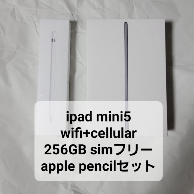 iPad mini5 256GB cellular + apple pencilグレーシリーズ