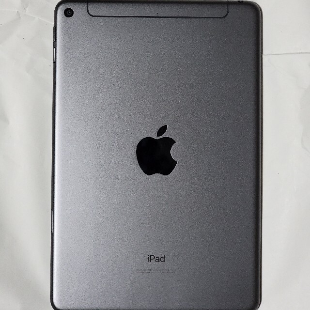 iPad(アイパッド)のiPad mini5 256GB cellular + apple pencil スマホ/家電/カメラのPC/タブレット(タブレット)の商品写真