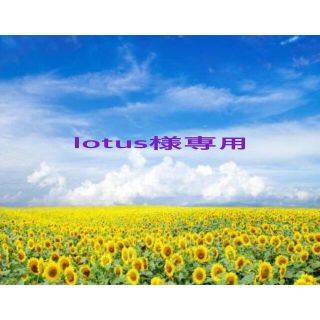 lotus様専用(クレンジング/メイク落とし)