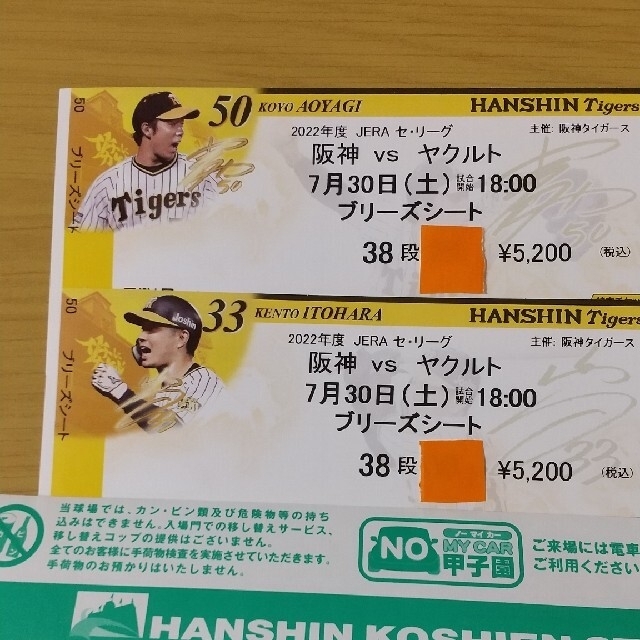 7/30 阪神vsヤクルト 2枚 ブリーズシート 7/30 阪神vsヤクルト 2枚 ブリーズシート