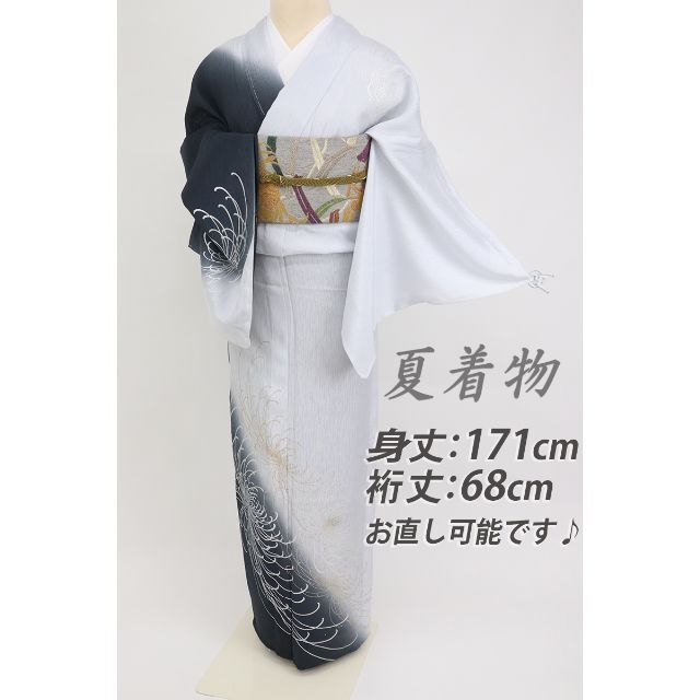 18%OFF】 《長尺*新品夏着物◇訪問着□縦絽変り織り*乱菊□グレー