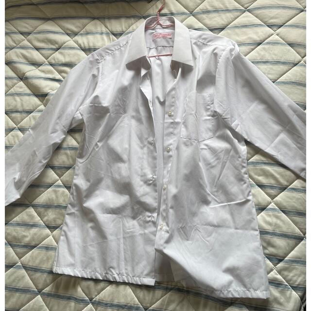 [[2枚]]ワイシャツ　レディース　長袖 レディースのトップス(シャツ/ブラウス(長袖/七分))の商品写真