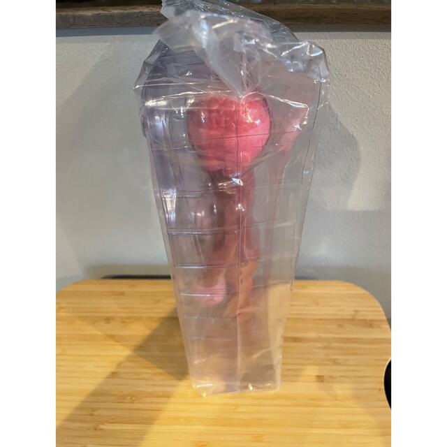 MEDICOM TOY(メディコムトイ)のKAWS COMPANION (FLAYED) BLUSH #8 カウズ エンタメ/ホビーのフィギュア(その他)の商品写真