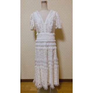 タダシショウジ(TADASHI SHOJI)のタダシショージ新品未使用完売❣️フリンジ総ドレスワンピース(ひざ丈ワンピース)