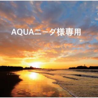 コストコ(コストコ)のAQUAニーダ様専用(その他)