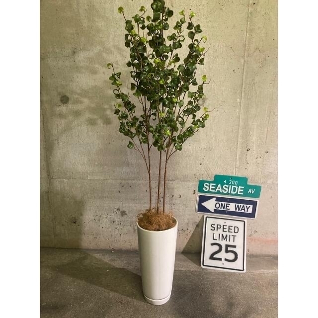 光触媒 人工観葉植物 ウォールグリーン フェイクグリーン 光触媒 人工観葉植物 ウォールグリーン フェイクグリーン