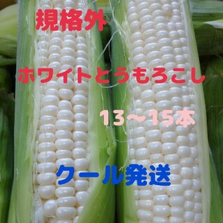規格外ホワイトとうもろこし(13-15本)(野菜)