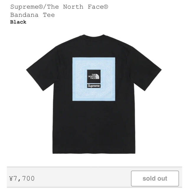 Supreme The North Face Bandana Tee黒L 未使用