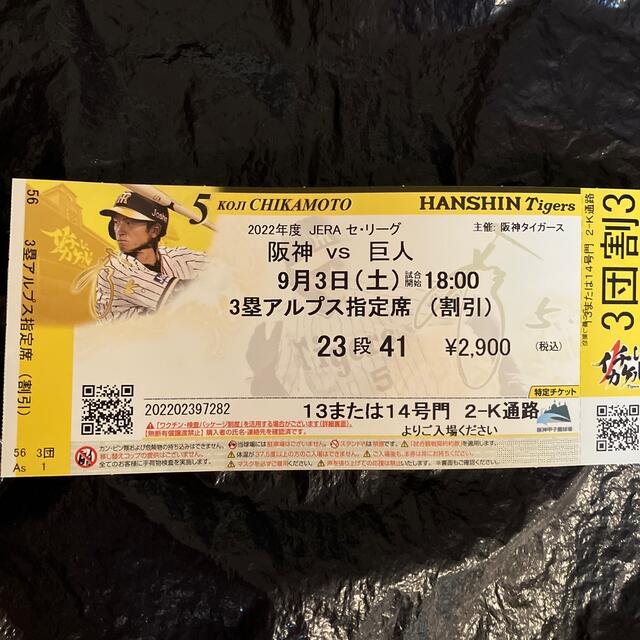 阪神タイガース(ハンシンタイガース)の阪神VS巨人9月3日土曜日、3塁アルプス指定席2枚 チケットのスポーツ(野球)の商品写真