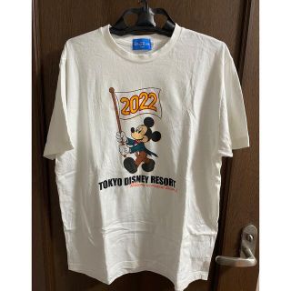 ディズニー(Disney)のディズニーランドTシャツ　男女兼用(Tシャツ/カットソー(半袖/袖なし))