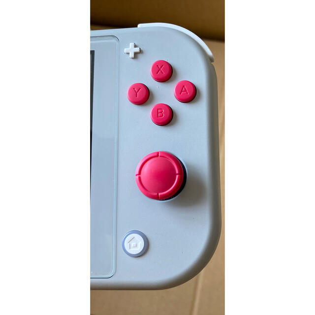 Nintendo Switch Lite ザシアン・ザマゼンタ Nintendo Switch Lite ザシアン・ザマゼンタ