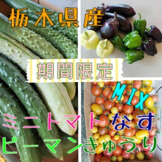 栃木県産　なす・ピーマン・きゅうり・ミニトマトMIX(野菜)