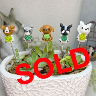 ハンドメイド　ガーデンピック　多肉植物を抱っこワンちゃんピック　多肉植物(その他)