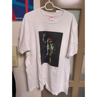 シュプリーム(Supreme)のSupreme supreme Tシャツ ニュータントタートルズ(Tシャツ/カットソー(半袖/袖なし))