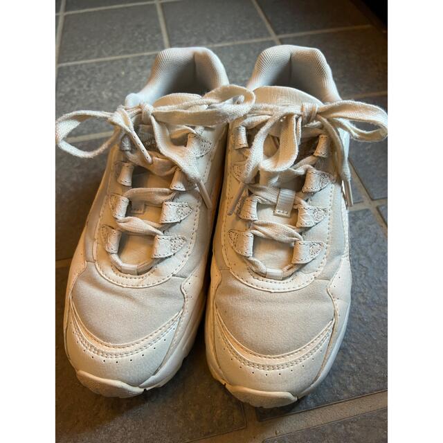 PUMA SLY スニーカー | www.pastificiomaiella.com