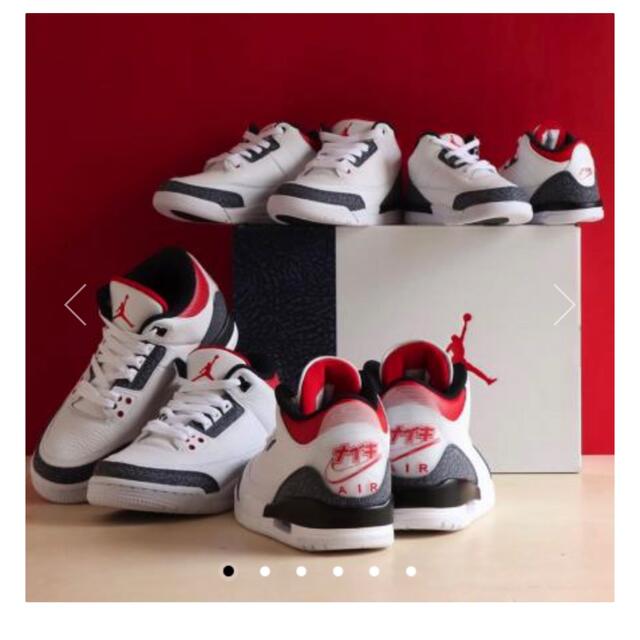 Nike Air Jordan3 retro