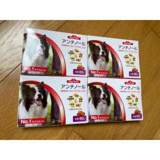 アンチノール　犬用60カプセル入り4箱新品