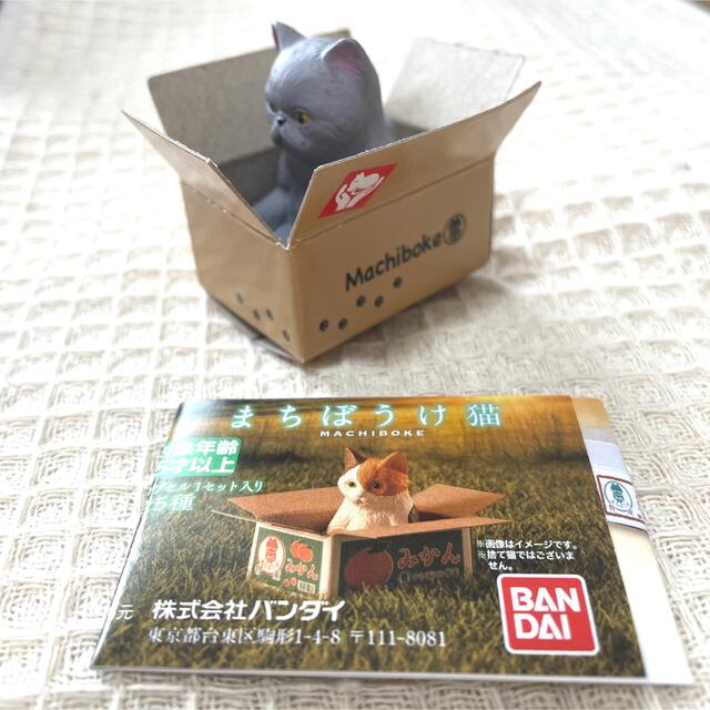 BANDAI(バンダイ)の専用　まちぼうけ猫 エキゾチックショートヘア＆三毛猫ガチャ エンタメ/ホビーのフィギュア(その他)の商品写真