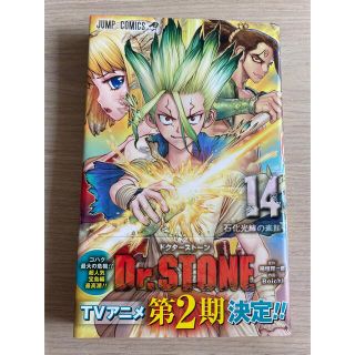 シュウエイシャ(集英社)のＤｒ．ＳＴＯＮＥ １４(少年漫画)