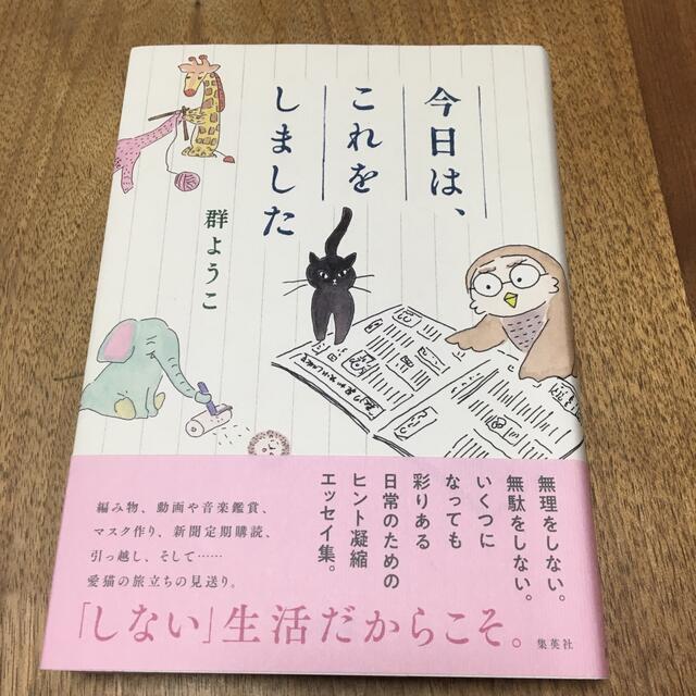 今日は、これをしました エンタメ/ホビーの本(文学/小説)の商品写真