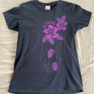 ギルタン(GILDAN)のGildan レディースTシャツ　綿100%(Tシャツ(半袖/袖なし))