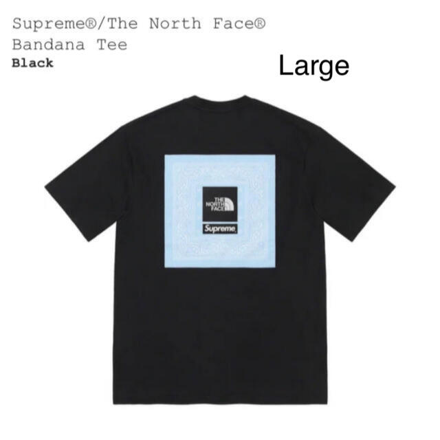 Supreme The North Face Bandana Tee黒LBlackサイズLサイズ状態