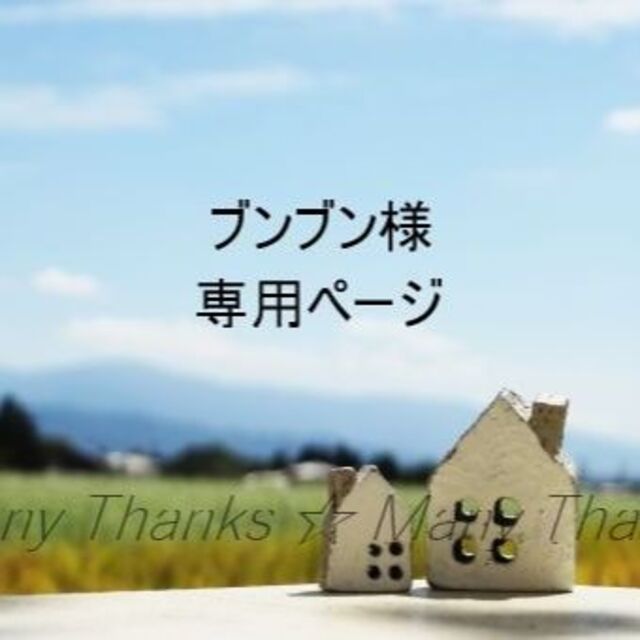 ブンブン様 専用ページ」の通販 by Many Thanks(❀´∀`❀)ﾉ｜ラクマ