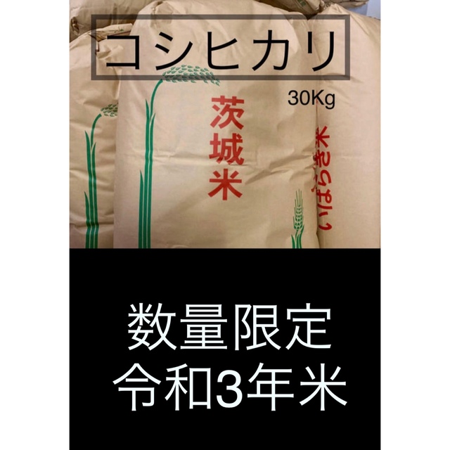 玄米但馬産コシヒカリ30ｋｇ　30年度1等米