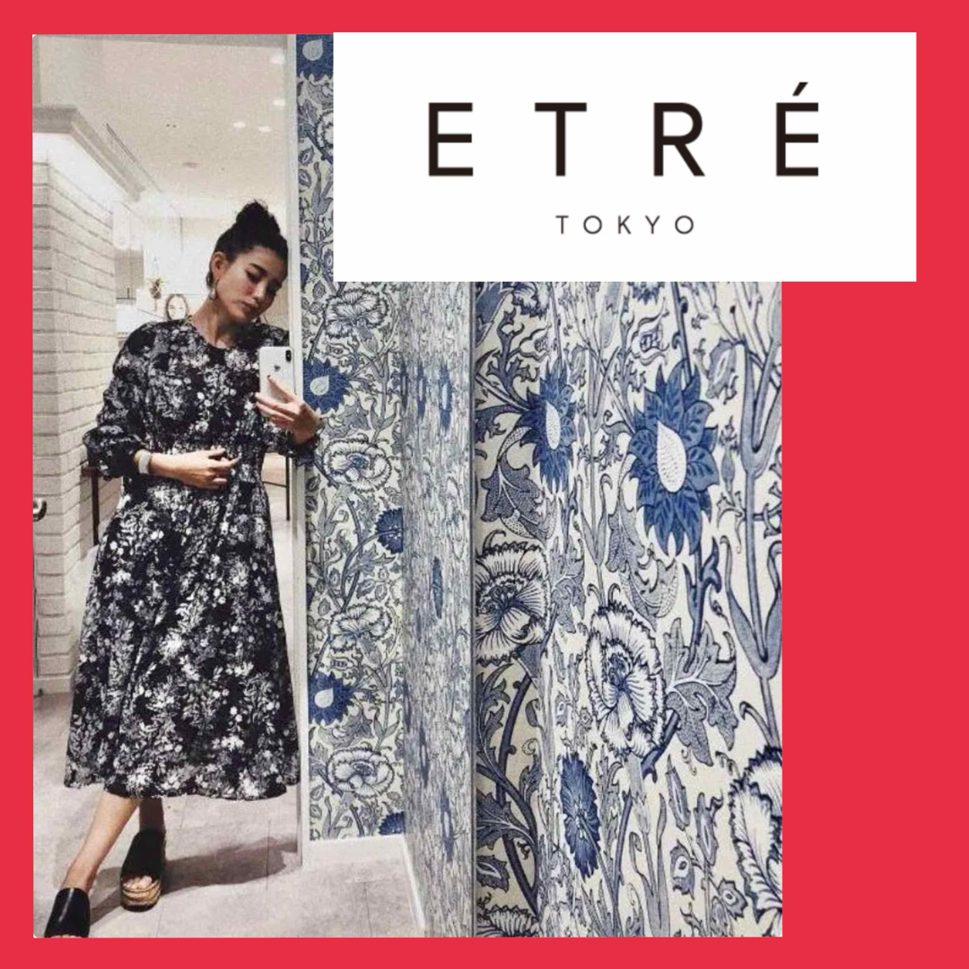 美品】ETRETOKYO シアーフラワープリントワンピース ブラック