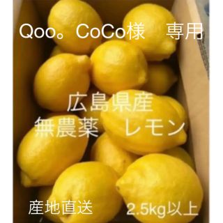 国産　レモン　広島県産　無農薬　レモン　2.5kg   産地直送(フルーツ)