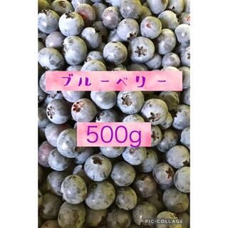 ブルーベリー　500g 無農薬(フルーツ)