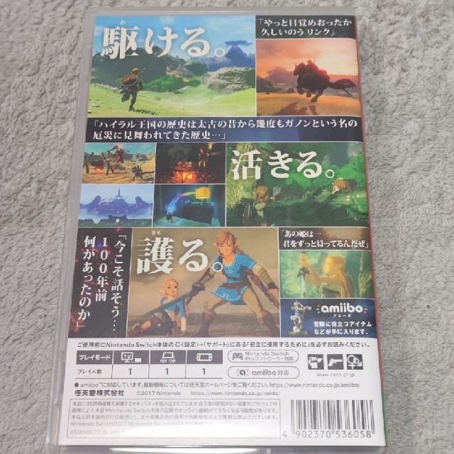 ゼルダの伝説 ブレス オブ ザ ワイルド Switch 1
