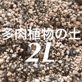 多肉植物　サボテンの土　約2リットル 即購入歓迎❣️(その他)