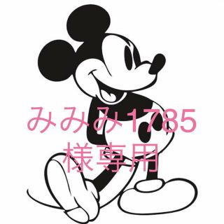 ディズニー(Disney)の【みみみ1785様専用】(チャーム)