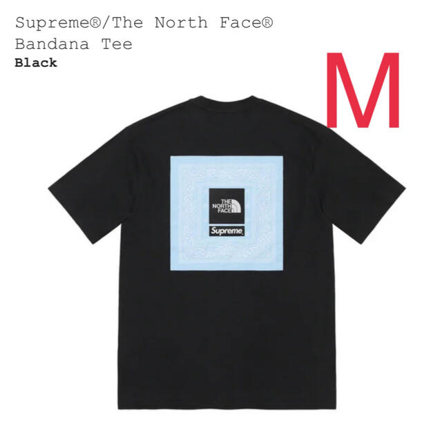 Supreme(シュプリーム)のSupreme® The North Face®  Bandana Tee メンズのトップス(Tシャツ/カットソー(半袖/袖なし))の商品写真