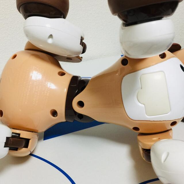 ハロー! ズーマー オムニボット Hello zoomer omnibot ハロー! ズーマー オムニボット Hello zoomer omnibot