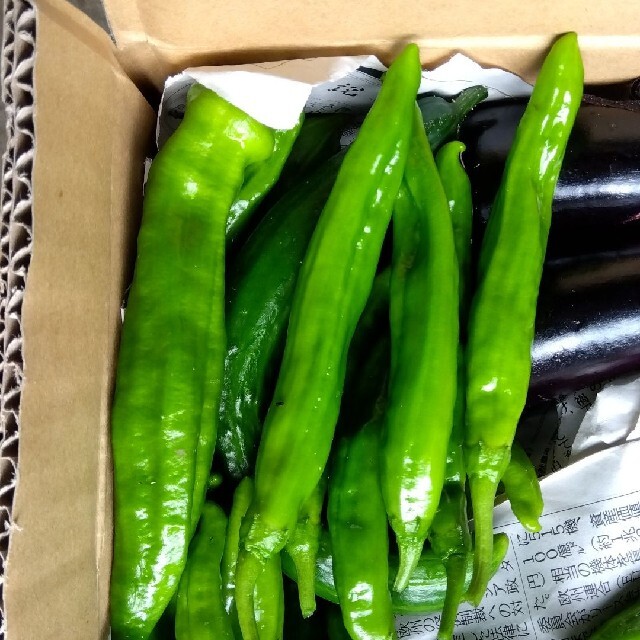 限定企画第二弾　宅急便80サイズ　夏野菜詰め合わせ! 食品/飲料/酒の食品(野菜)の商品写真