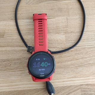 ガーミン(GARMIN)のGARMIN 745(トレーニング用品)