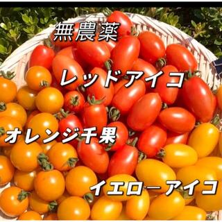 ミニトマト　安全無農薬　1キロ(野菜)