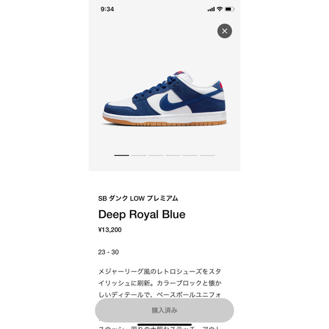 Nike SB Dunk Low  Los Angeles Dodgers 27 1