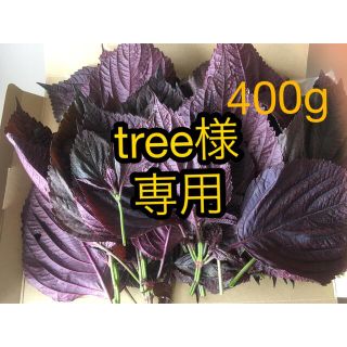 赤紫蘇葉　無農薬　400g (野菜)